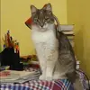 Отзыв от Нинель Одинцова